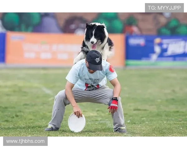 深圳飞盘队以84分稳居极限运动世界杯积分榜首位 深圳飞盘队以84分稳居极限运动世界杯积分榜首位