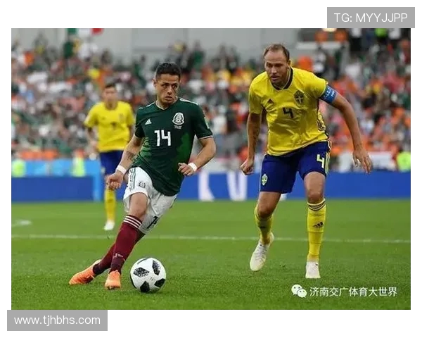 巴西与瑞典足球比赛技术统计分析及关键数据对比