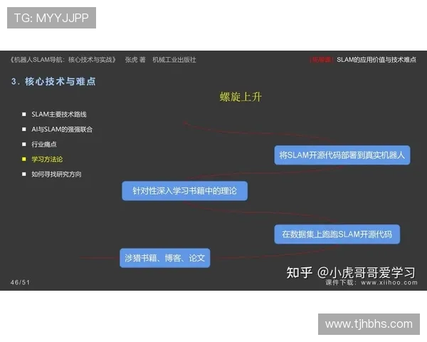 深入分析上海排球队反击战术的独特魅力与实战应用